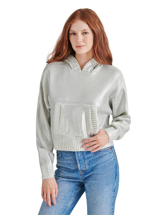 Cameran Silver Sweater